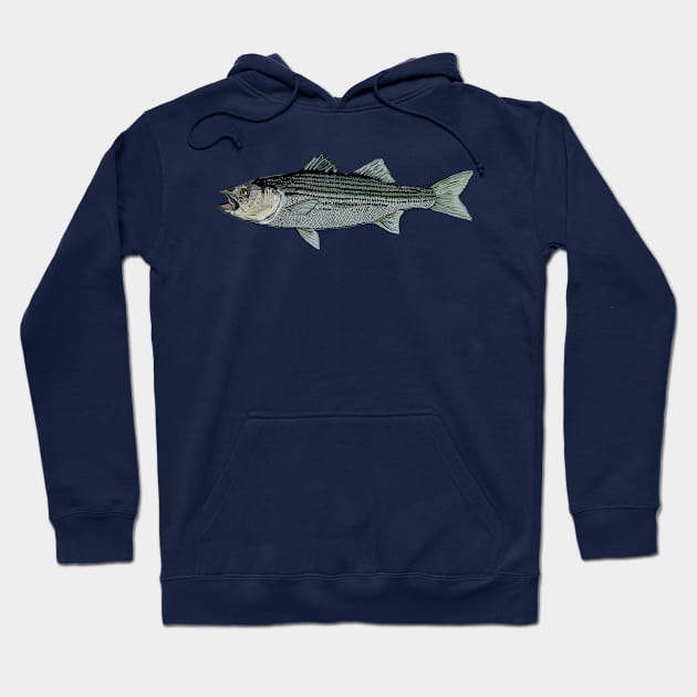 Striped bass Hoodie by Hook Ink